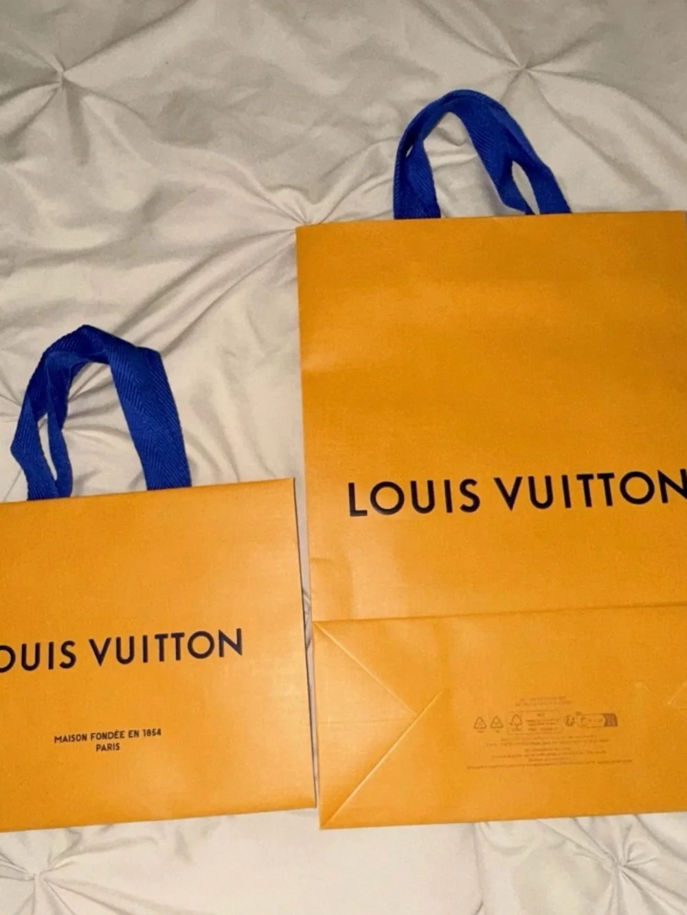 Luxury Shopping Bags & Gift Box Bundle | Chanel,Louis Vuitton,Dior